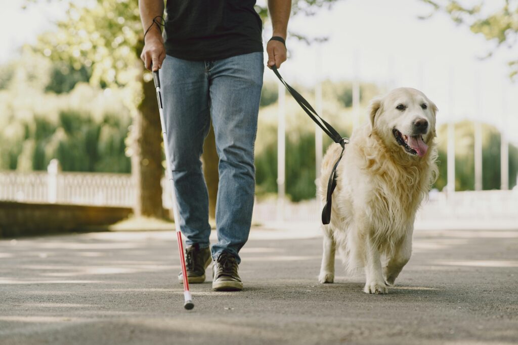 persoon met geleidehond